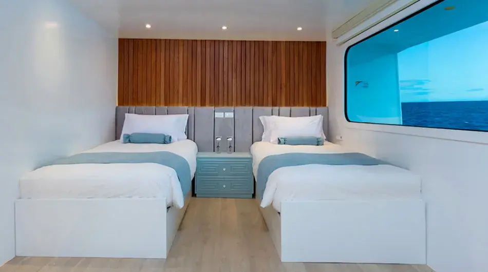Ocean Spray catamaran stateroom