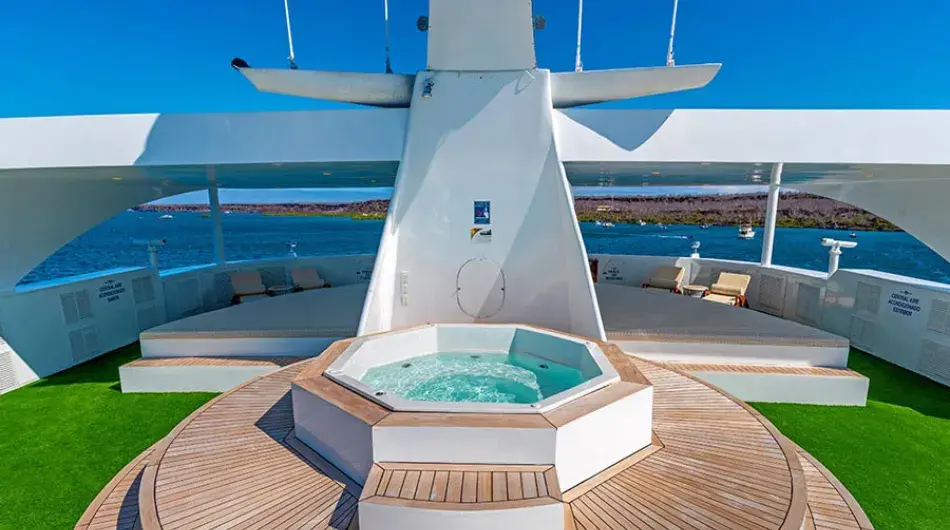 Ocean Spray catamaran sky deck