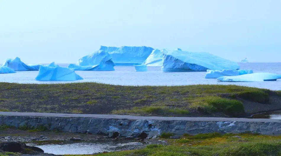 Disko bay panoramic view