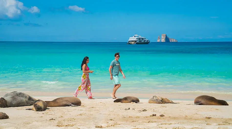 Elite Galapagos - Beach landing