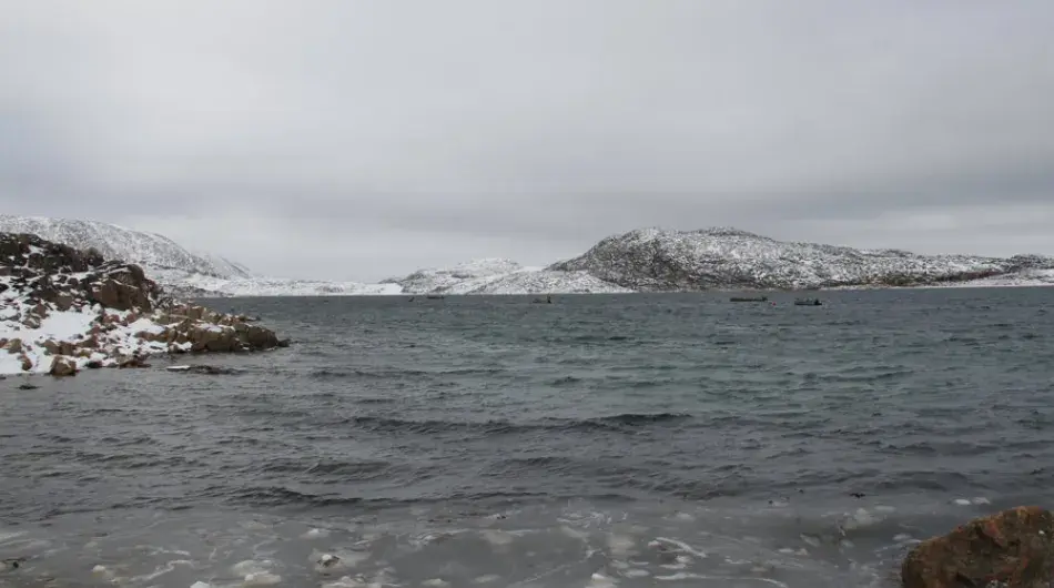 Cape-Dorset_Kinngait_lower-NWP_AC_GALLERY