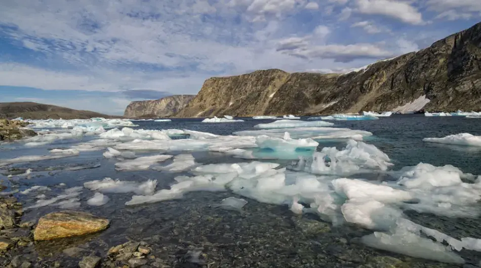 Cape Mercy icy panorama