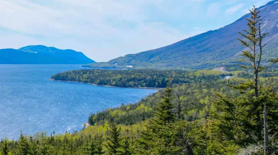 Woody Point, Newfoundland