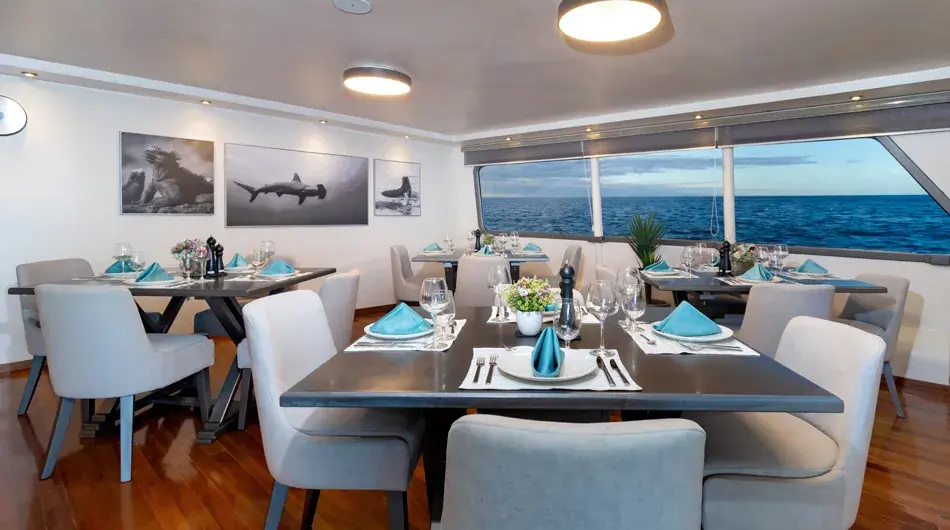 Horizon Trimaran Dining Tables