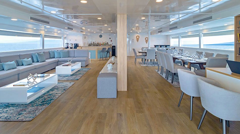 Galapagos Sea Star Social Area