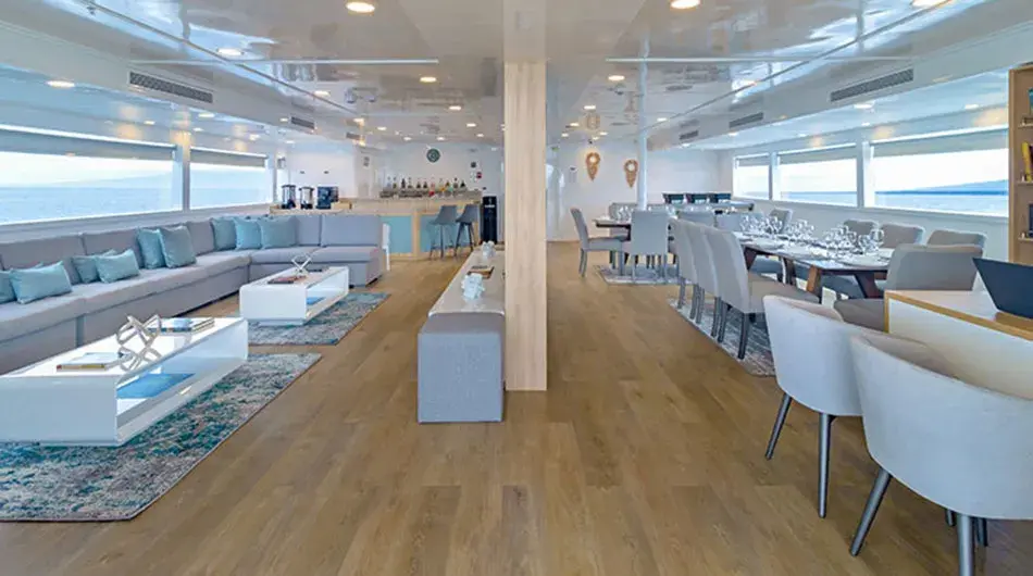 Galapagos Sea Star Social Area