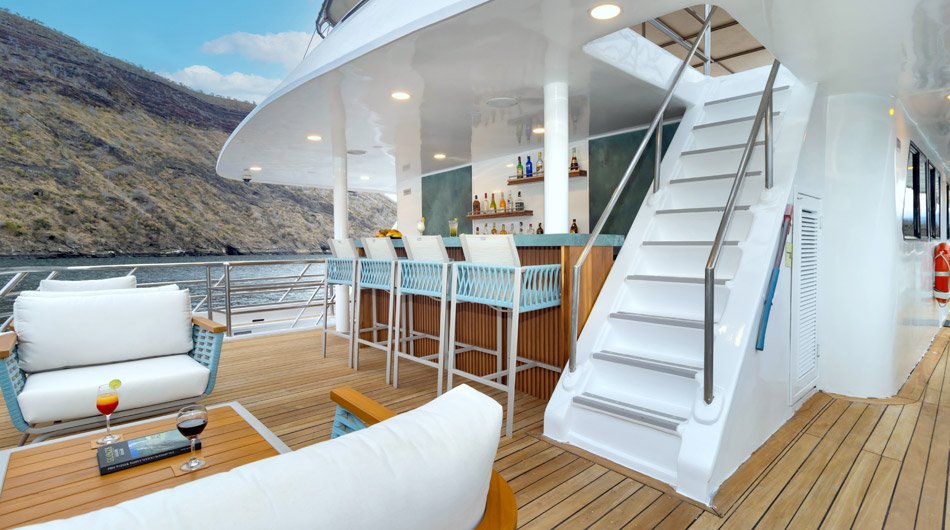 Galapagos Sea Star Exterior Upper Bar