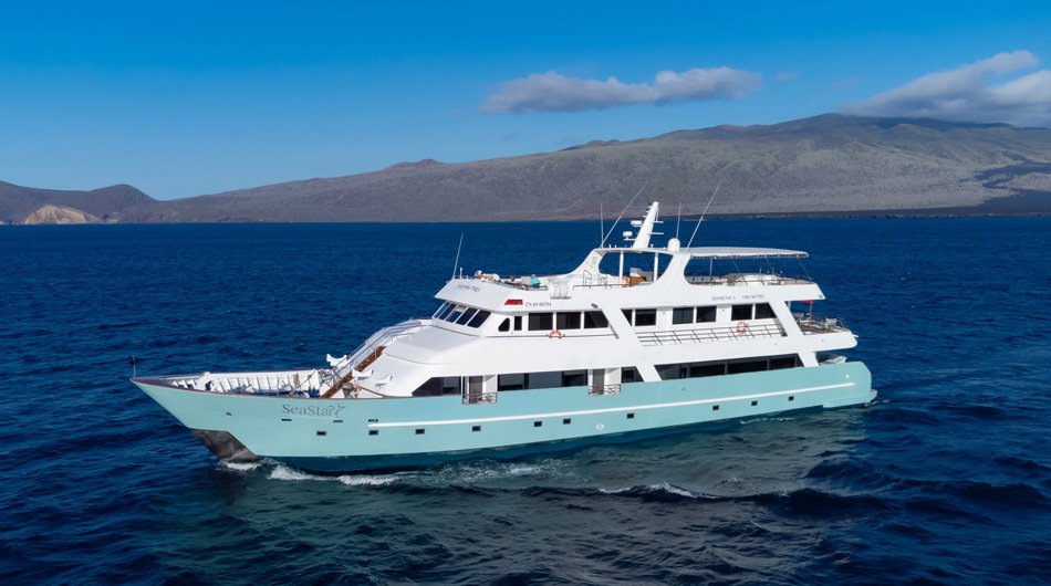 Galapagos Sea Star Exterior