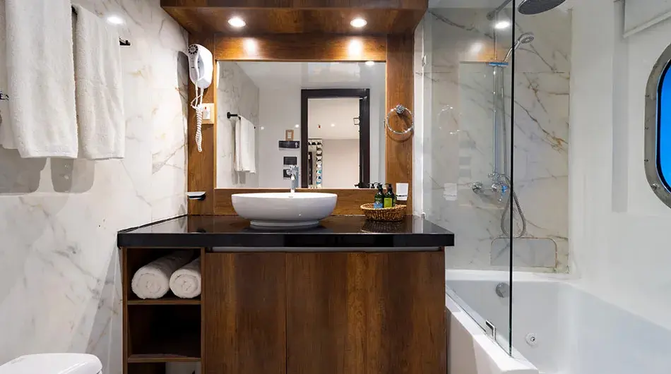 Grand Majestic Standard Cabin Bathroom