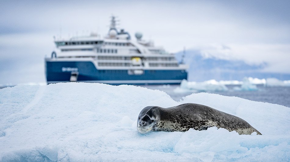 SH Diana and Leopard Seal