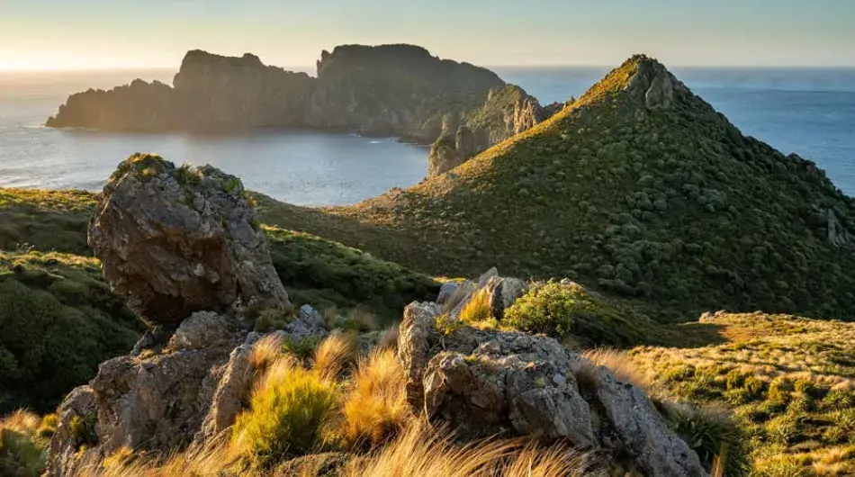 Stewart Island, New Zealand