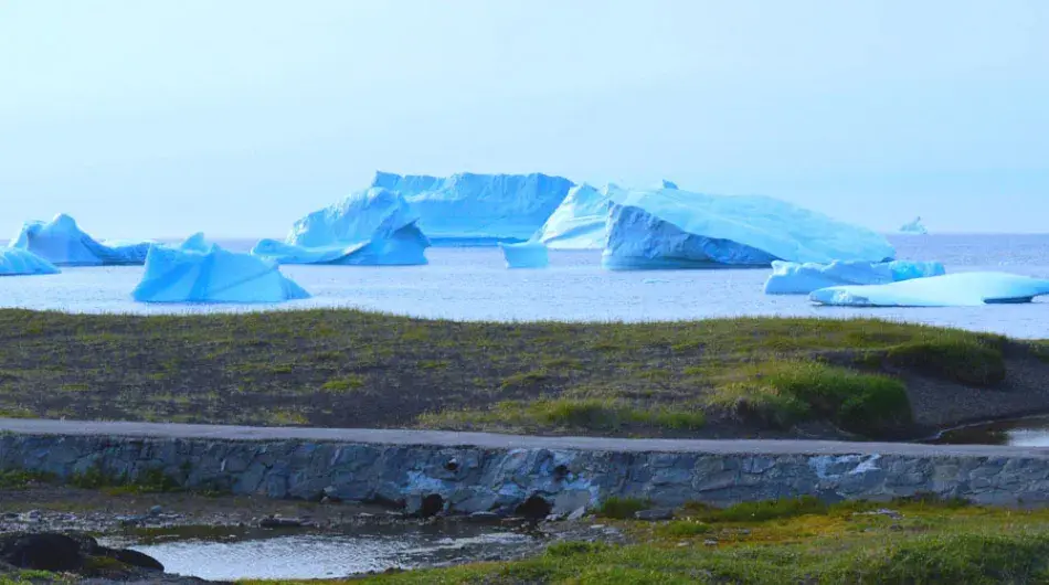 Disko bay ice
