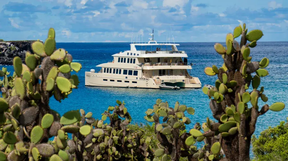 M/C Monique Catamaran Exterior View