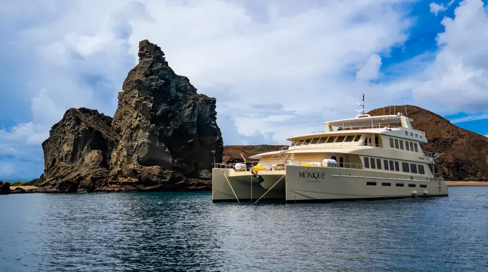 M/C Monique Catamaran Exterior View