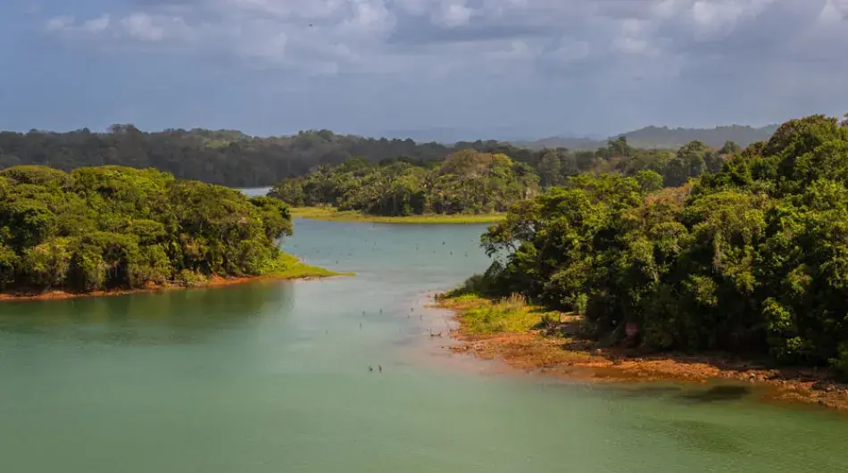 Gatun Lake near Colon, Panama
