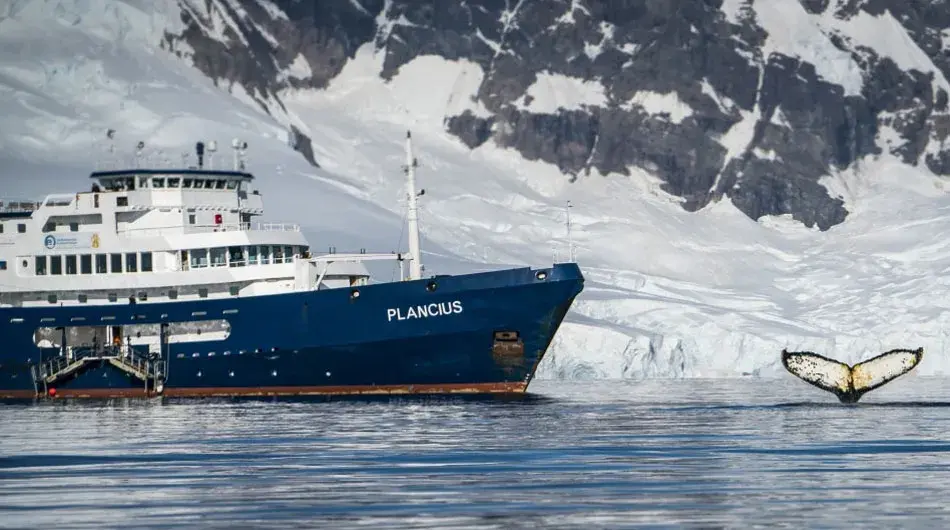 Plancius exterior