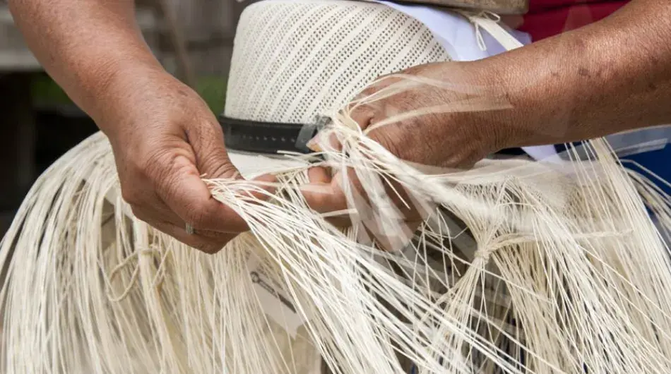 Traditional weaving of Toquilla Straw Hats in Manta, Ecuador