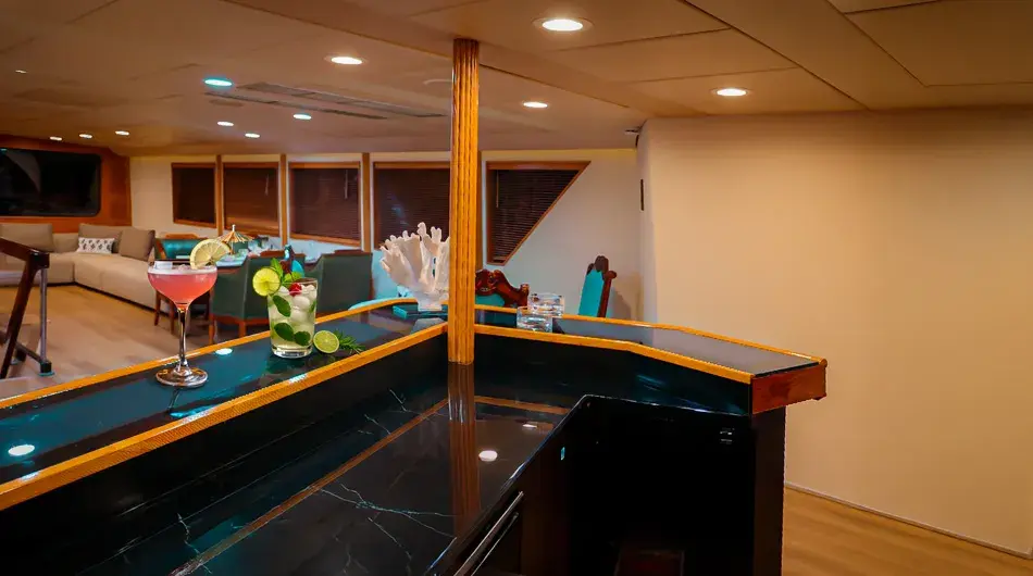 zibo-bar
