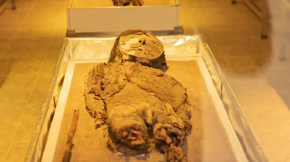 Chinchorro mummy Chile
