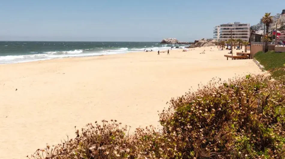 Vina del Mar Valparaiso