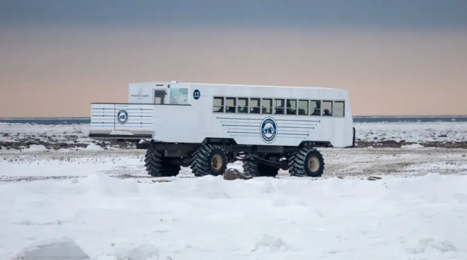 ©Tundra Buggy ctsy ©Alex Cupeiro/Frontiers North Adventures