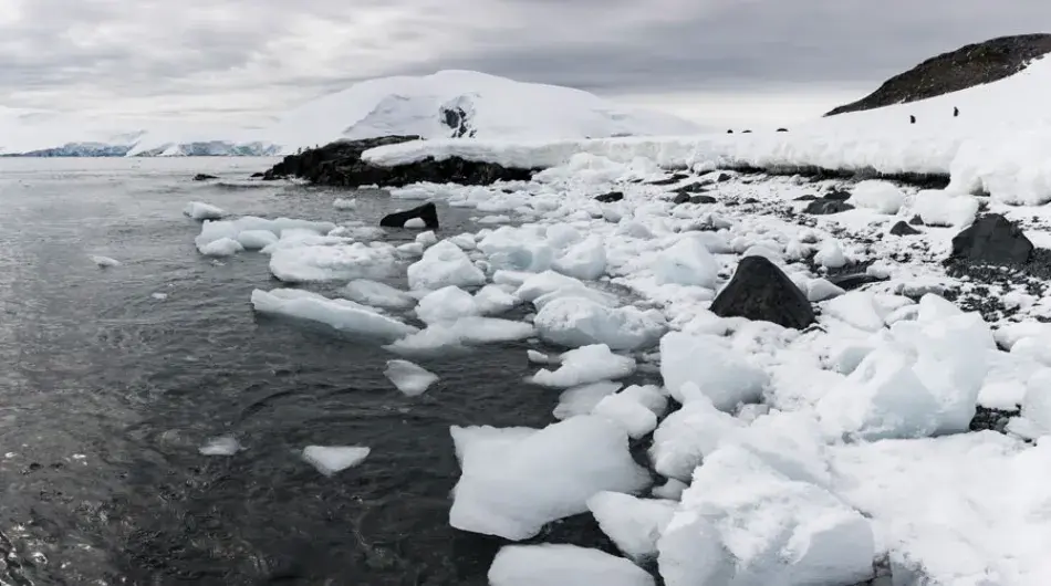 Mikkelsen-Harbour_icy-shoreline-1-gallery_0