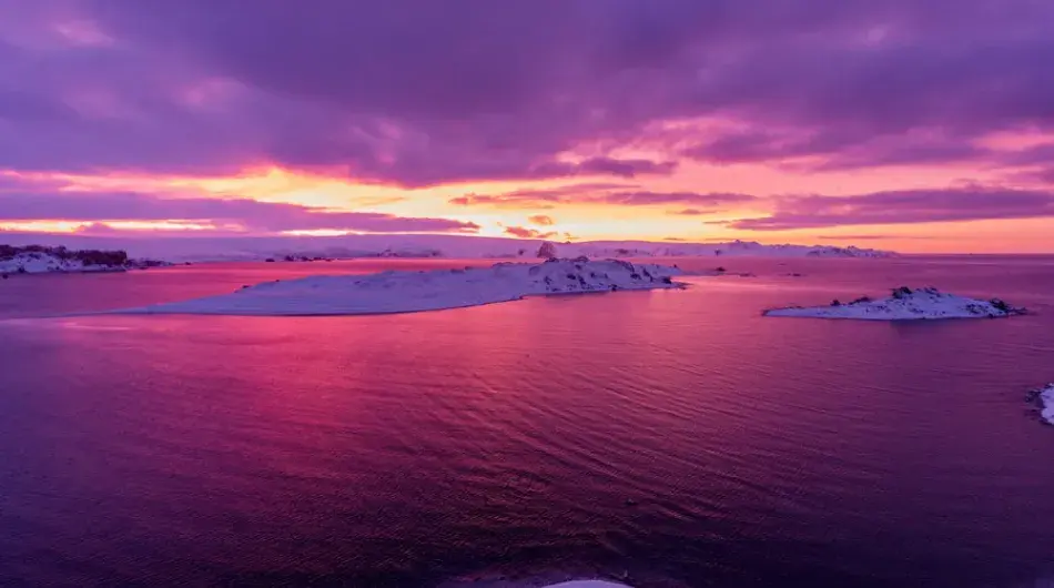 Ardley Island Sunset