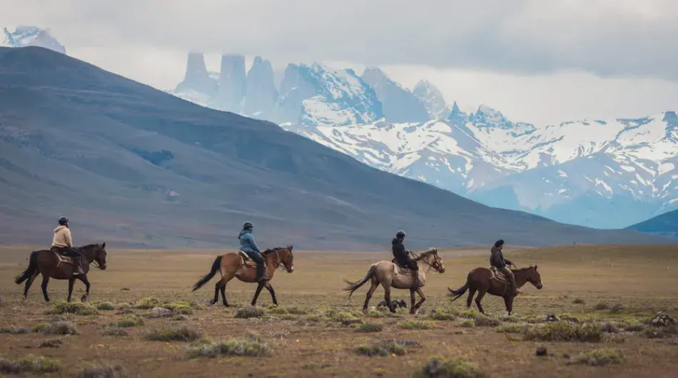 Cerro Guido Horses