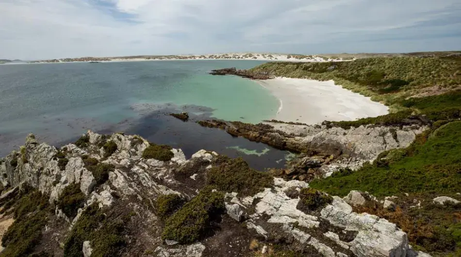 New Island