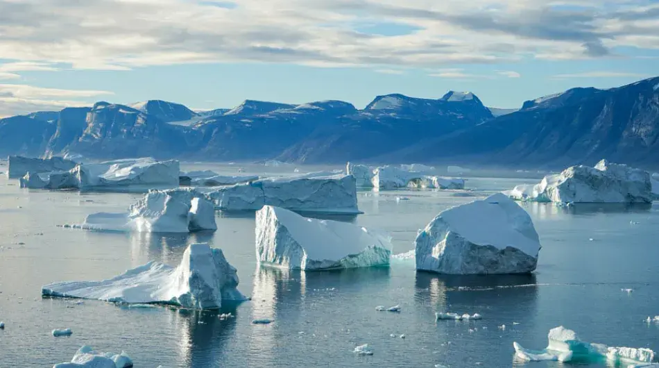 Uummannaq-Bay-icebergs_WG