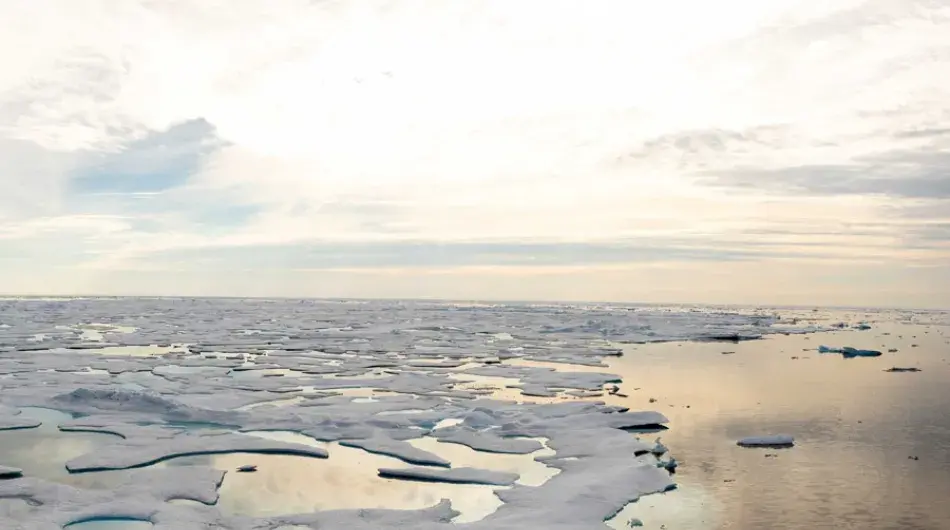 Ice Pack in Beaufort Sea