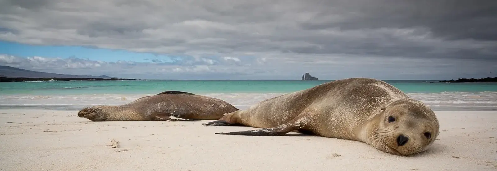 Western Islands Cruise | Calipso