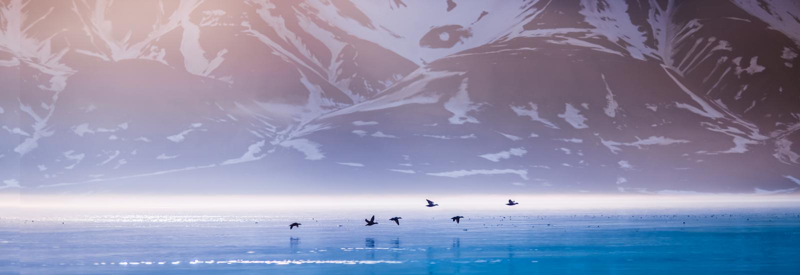 Best of Svalbard | Sea Spirit