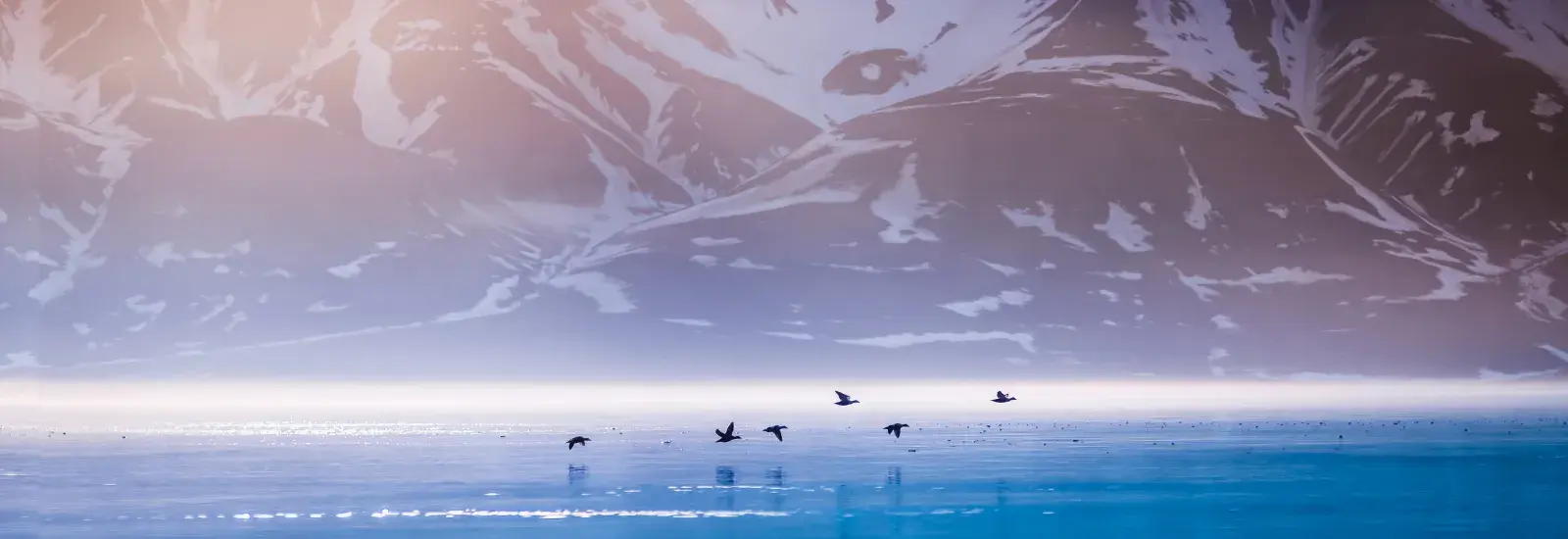 Best of Svalbard | Sea Spirit