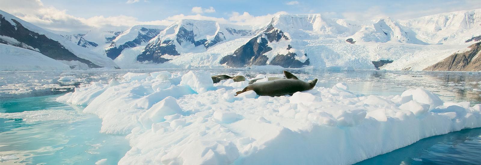 Antarctica Basecamp | Ortelius