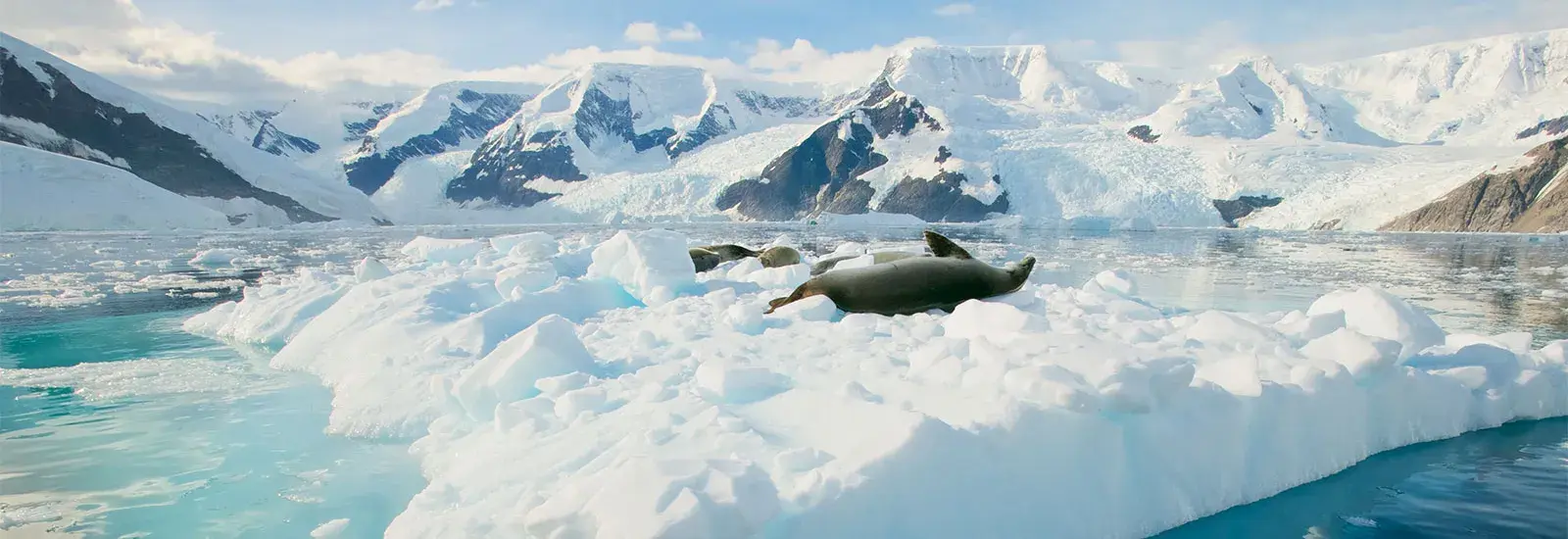 Antarctica Basecamp | Ortelius