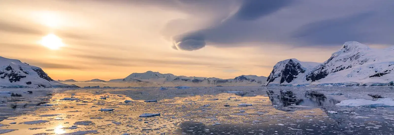 Spirit Of Antarctica | Sylvia Earle