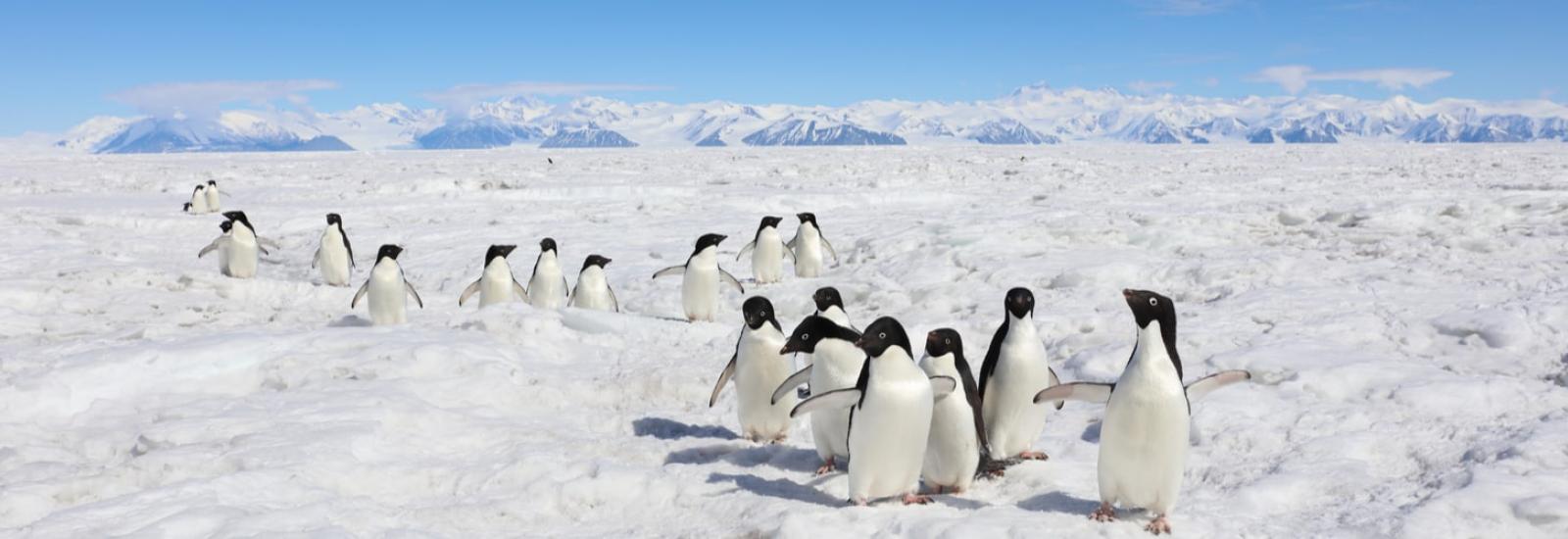 In the Wake of Scott and Shackleton | Heritage Adventurer