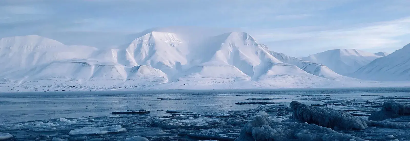 A scenic landscape