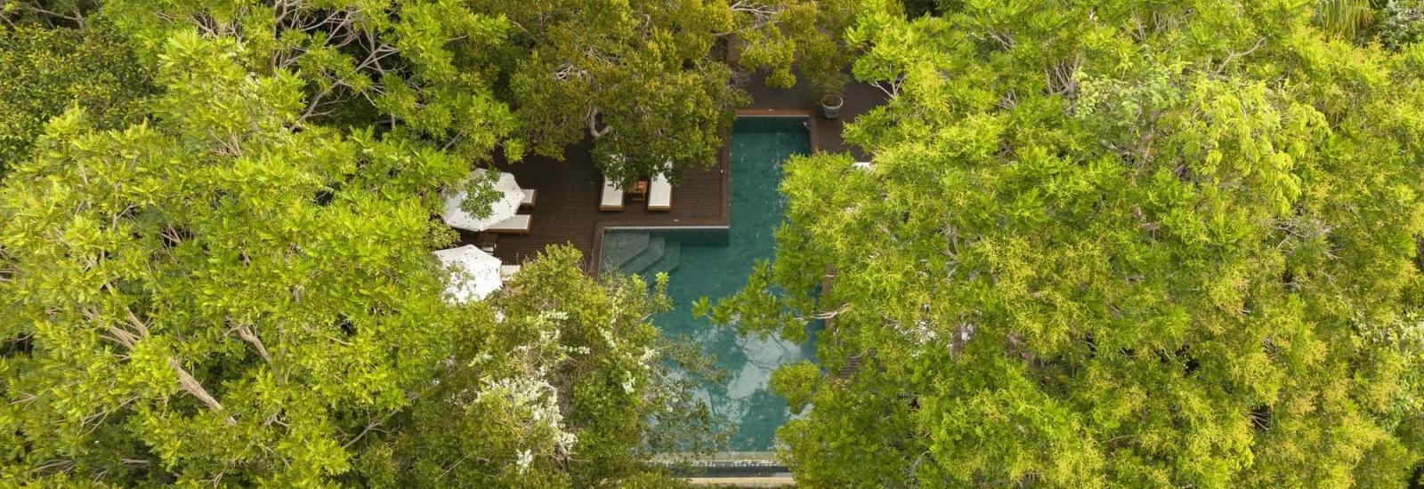 Brazil Amazon Extension | Anavilhanas Amazon Lodge