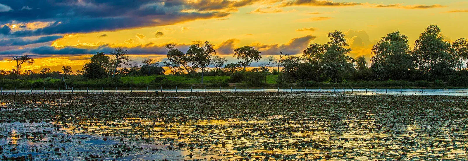 Amazon River Cruise | M/Y Tucano