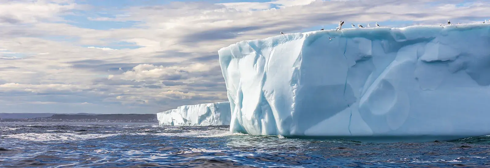 Remote Weddell Sea Explorer | Ortelius