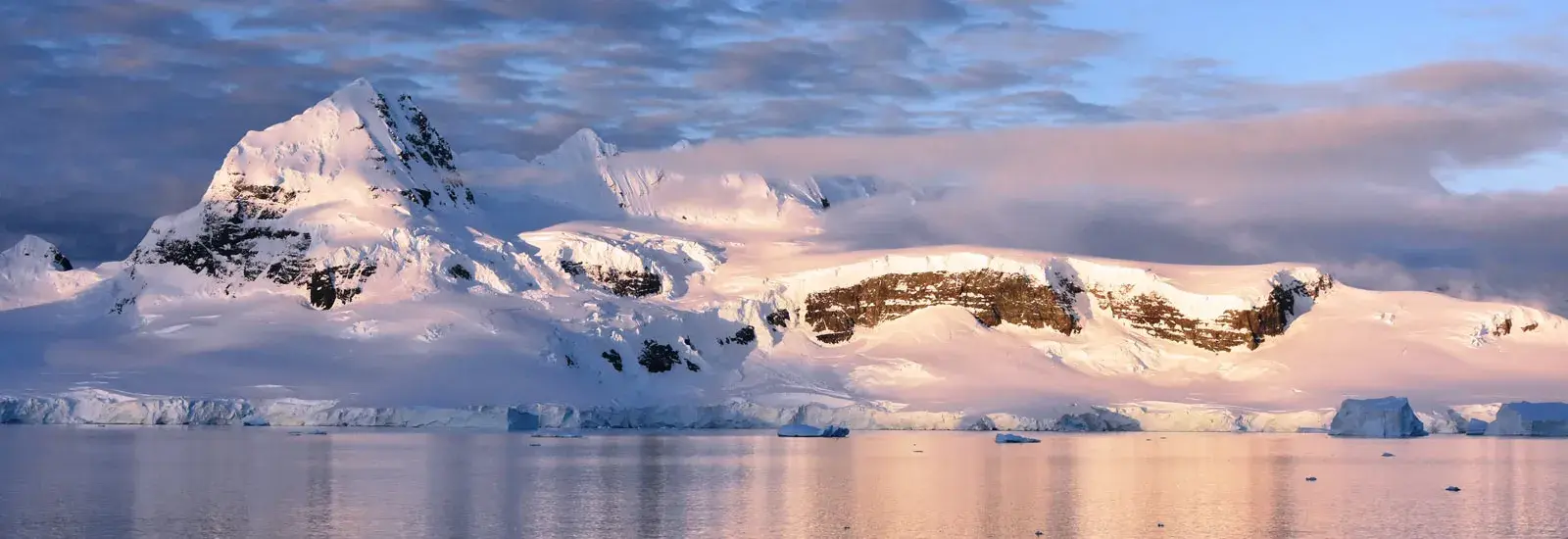 Falklands, South Georgia &amp; Antarctic Peninsula  | Sylvia Earle