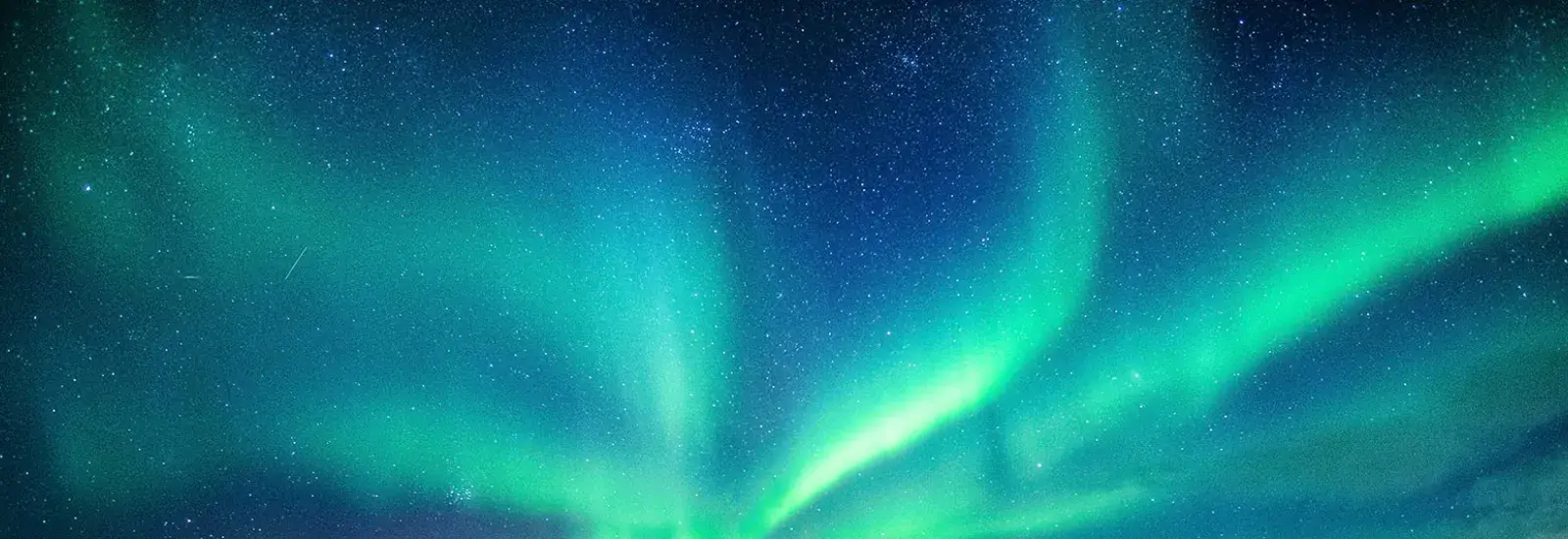 Aurora-Header.jpg