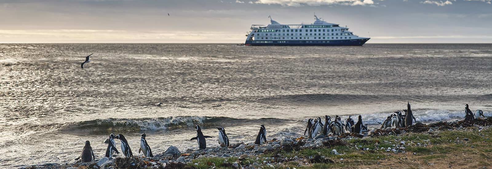 Patagonian Explorer | Stella Australis