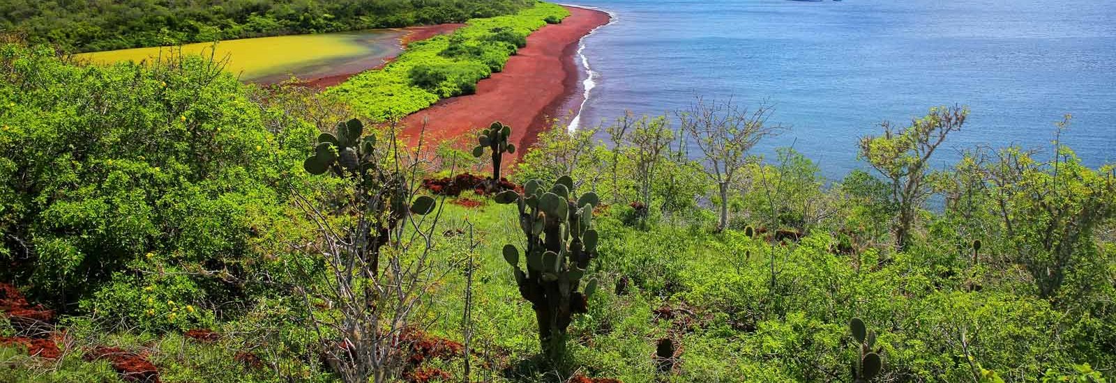 Classic Central Eastern Islands | Grand Queen Beatriz