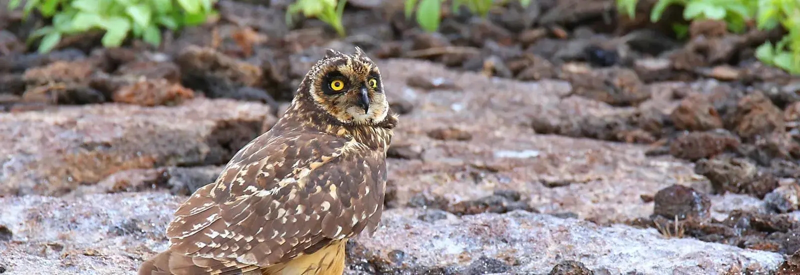 Northern Islands Cruise | Natural Paradise