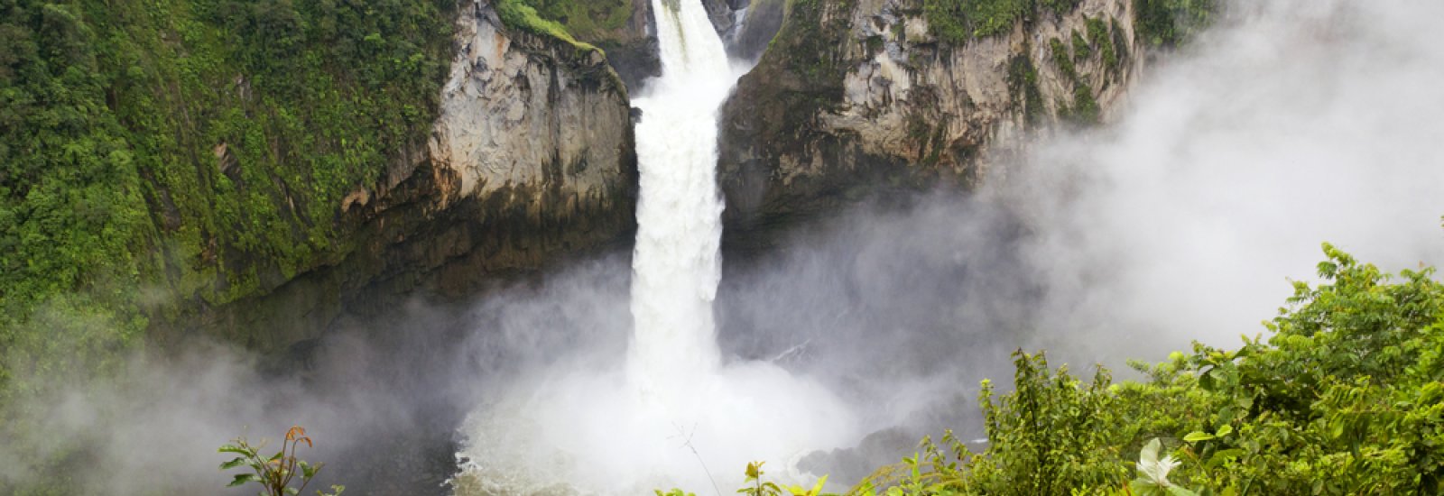 Rainforest_Amazon_Shutterstock