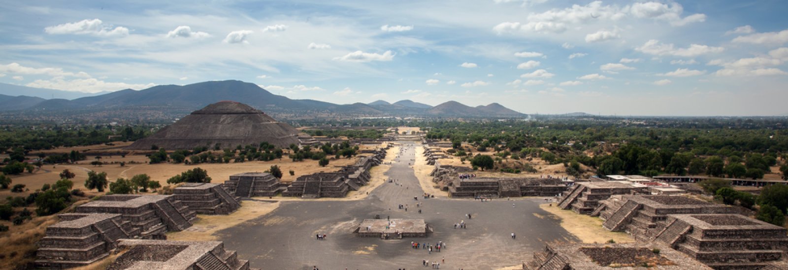 shutterstock_121271311