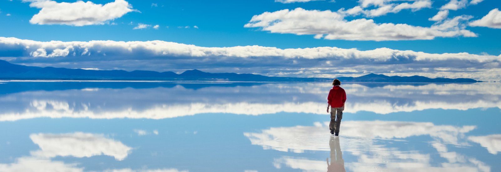 shutterstock_484598368